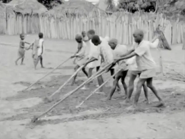 Letter from My Village