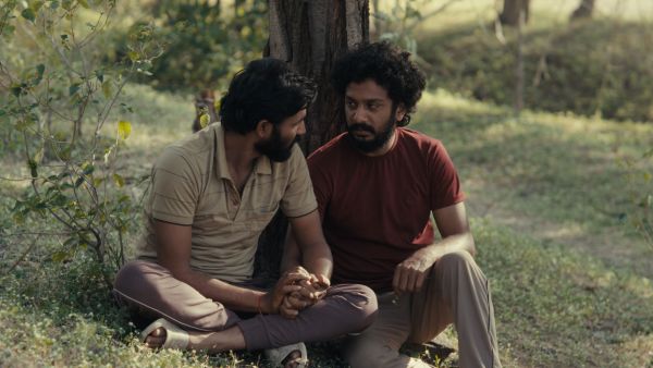 Sabar Bonda (Cactus Pears) by Rohan Parashuram Kanawade