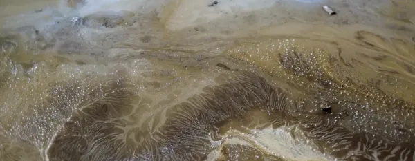 What Does the Mud Whisper?