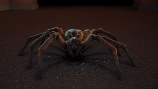 8 Legs