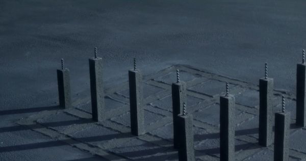 Lupus