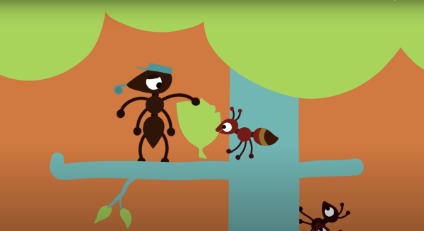 Ant