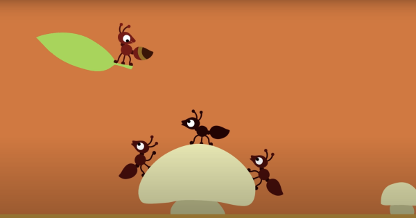 Ant