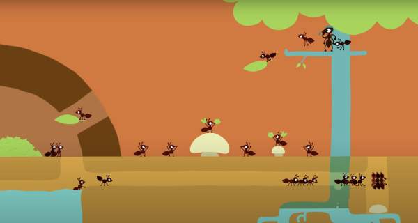 Ant