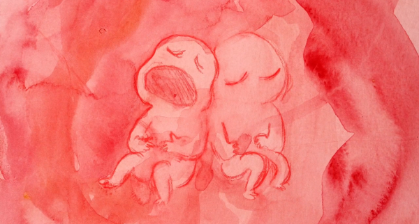 Not Enough Womb for the Two of Us