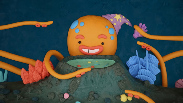 The Cook Octopus