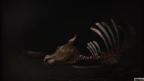 Strange Beasts