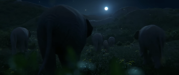 Elegy of Elephant