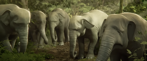 Elegy of Elephant