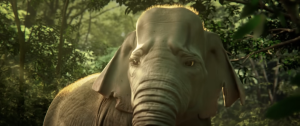 Elegy of Elephant
