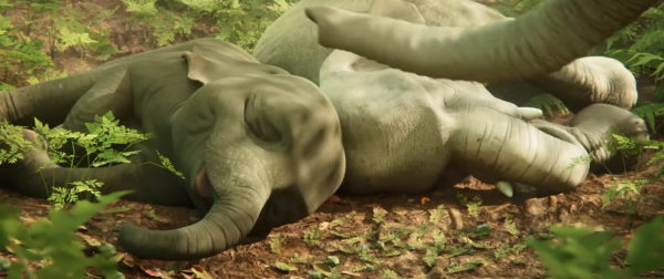 Elegy of Elephant