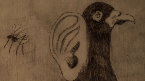 Embryo