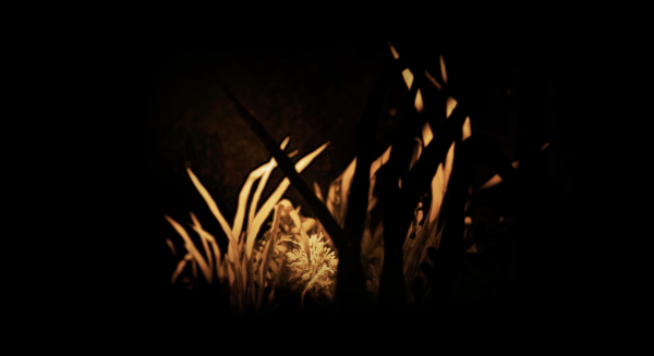 Reason And Impulse – Disappear