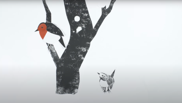 The Robin and the Wren