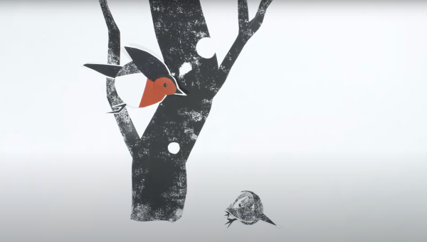 The Robin and the Wren