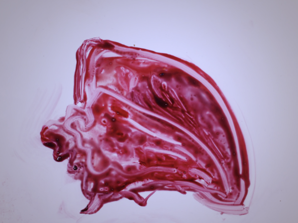 Porous