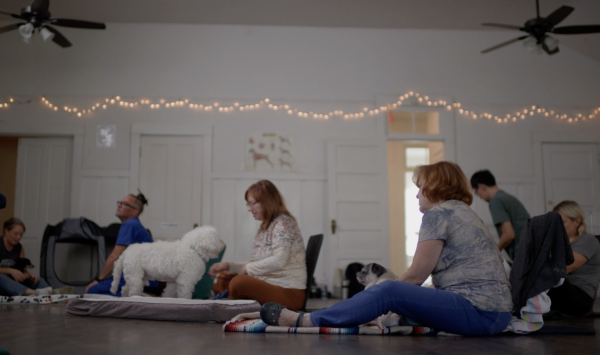 The School of Canine Massage