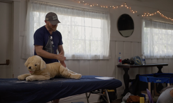 The School of Canine Massage