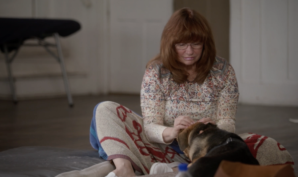 The School of Canine Massage