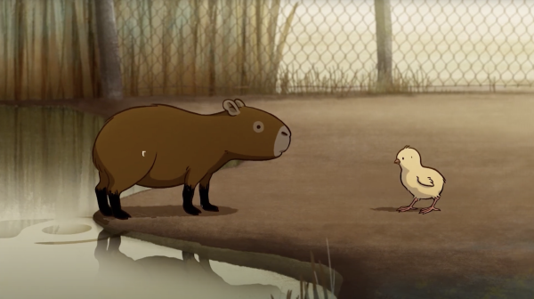 Capybaras