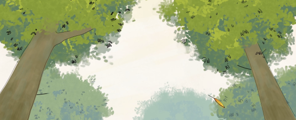Windy Day