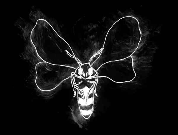Larval