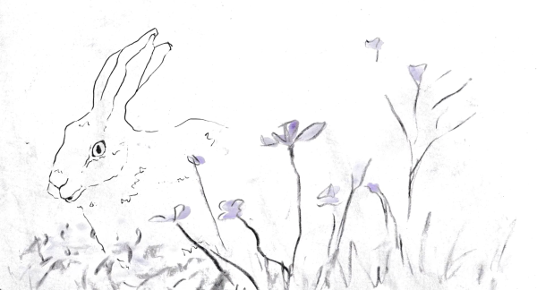 Strokes of Wildflowers