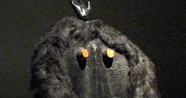 Primate Visions; Macaque Macabre