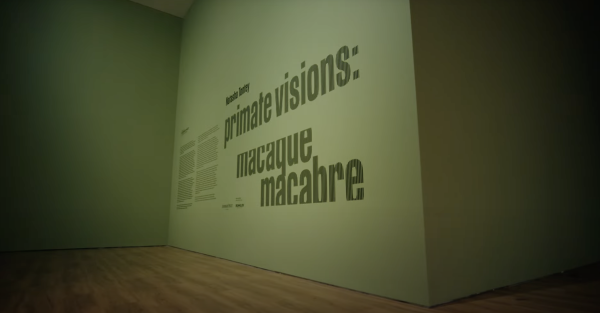 Primate Visions; Macaque Macabre