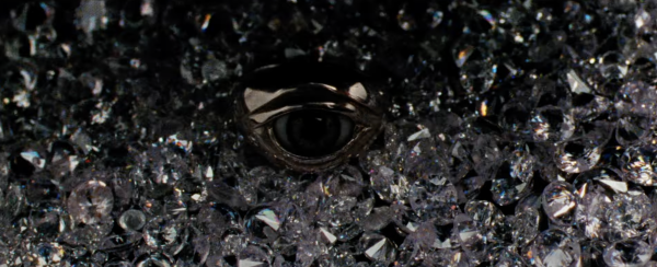 Reflection in a Dead Diamond
