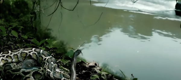 The Chronology of Water