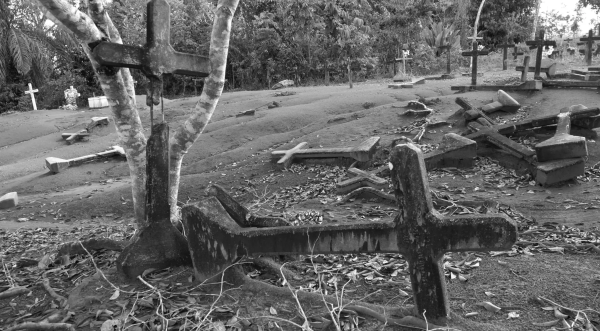Fordlandia Malaise