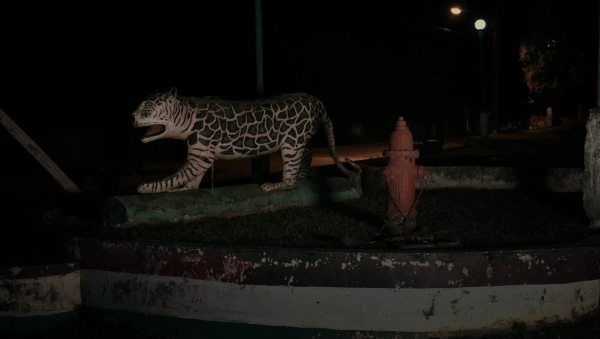 Fordlândia Panacea