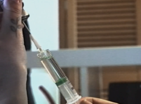 kiss kiss bang bang