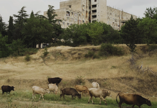 The Kartli Kingdom