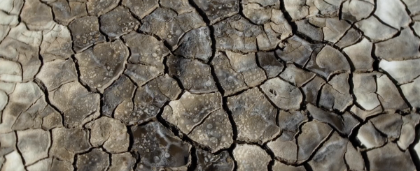 What Does the Mud Whisper?