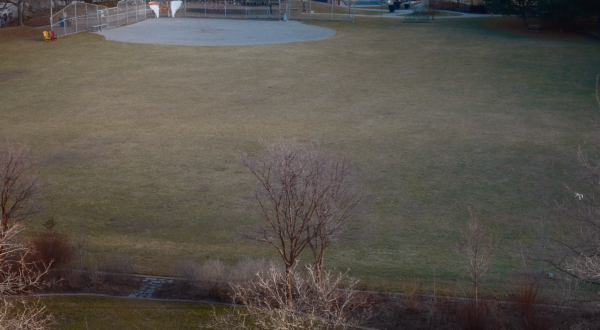 A View from Home