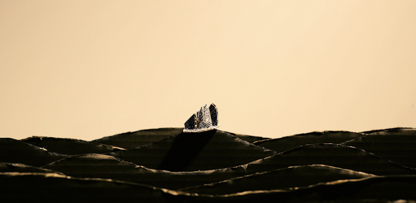 Fragmented Finger Prints