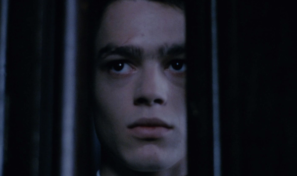 In a Glass Cage