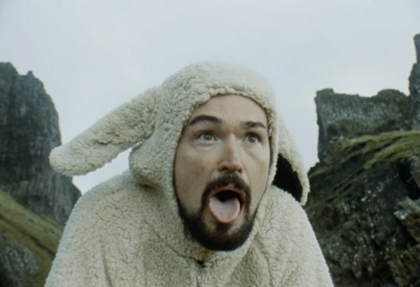 1 in 5 Sheep