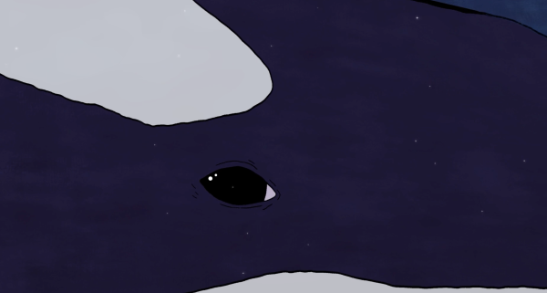 After A Whale