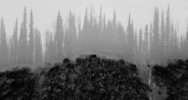 Land of Cold
