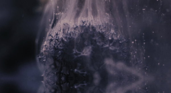 Beyond the Facade