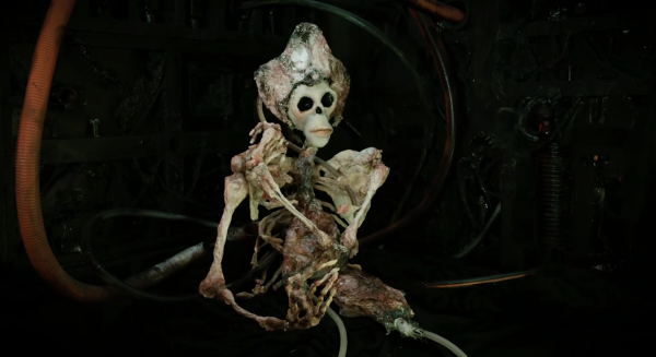 Our Lady of Rot