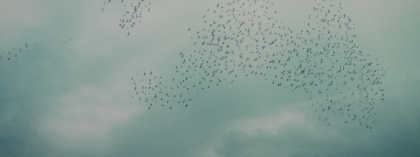 The Little Things That Moves The World