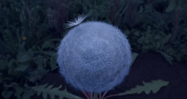 Dandelion's Odyssey