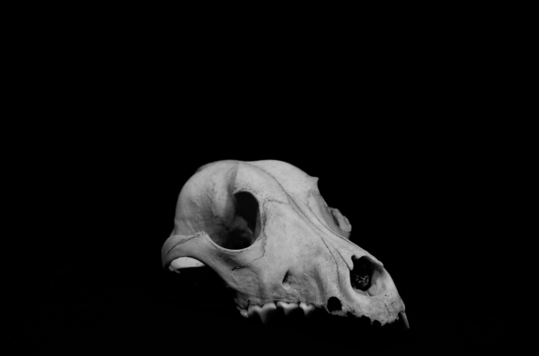 In Limbo