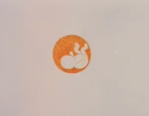 The Circle