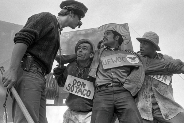 American Pachuco: The Legend of Luis Valdez
