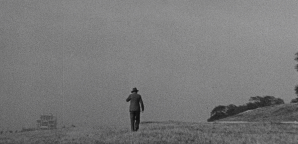 Aimless Walk